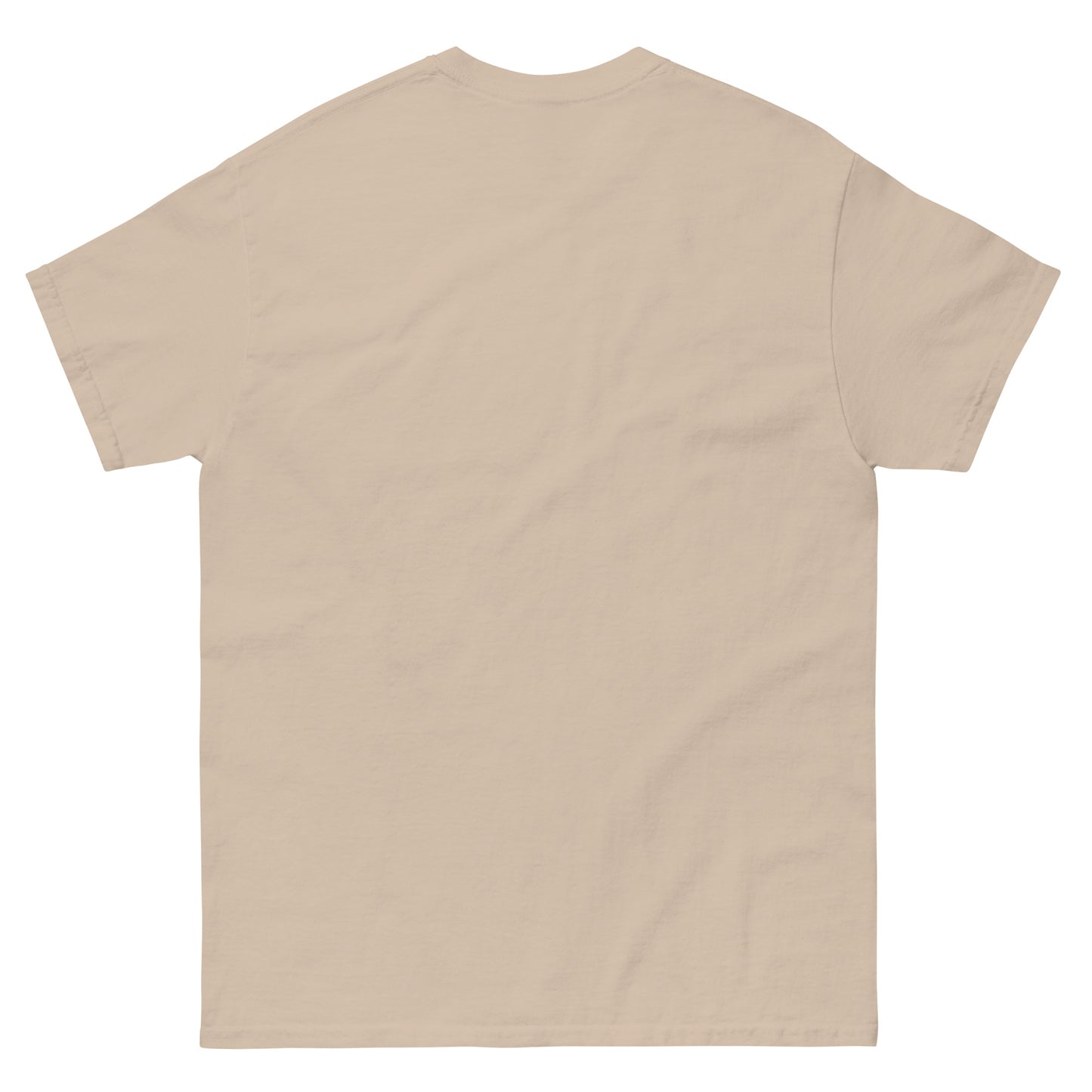Unisex klassikaline T-särk 'Elektrik'