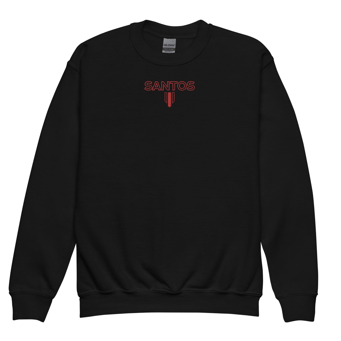 Youth crewneck sweatshirt Embroidery